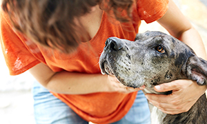 Incontinência urinária